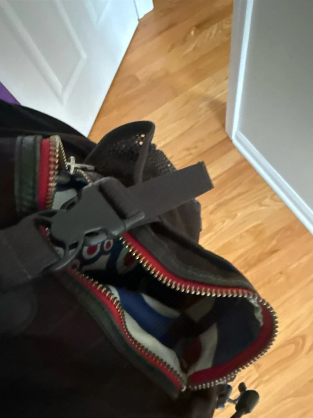 The North Face Black Vintage Recon Pinstripe 30 L Backpack Phish Donut Interior